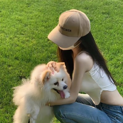 天网狼蛛