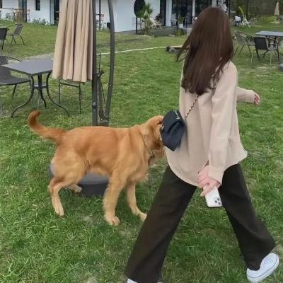 圣诞大赢家